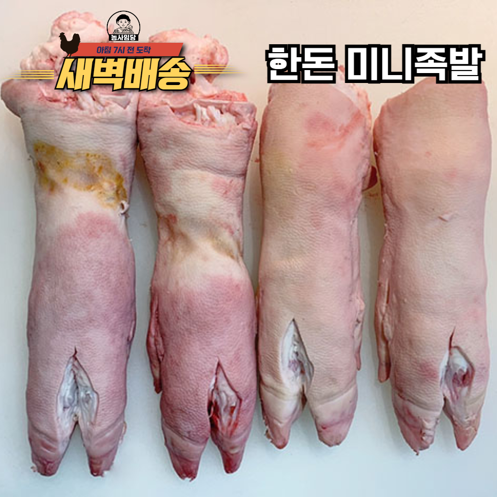 [새벽배송] 한돈 미니족 미니족발 국내산 냉동 정육점 직송 1벌 : 농사임당
