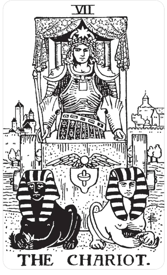 블랙 앤 화이트 타로카드 Black White Rider Waite Tarot Deck : 샤똥타로상점
