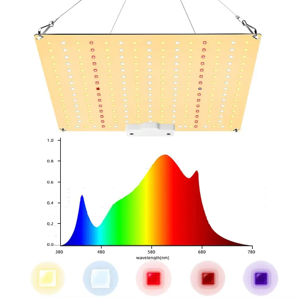 식물 실내 꽃 모종용 LED 성장 조명 전체 스펙트럼 램프 600W 800W 1000W 1200W 1500W : 중빠오