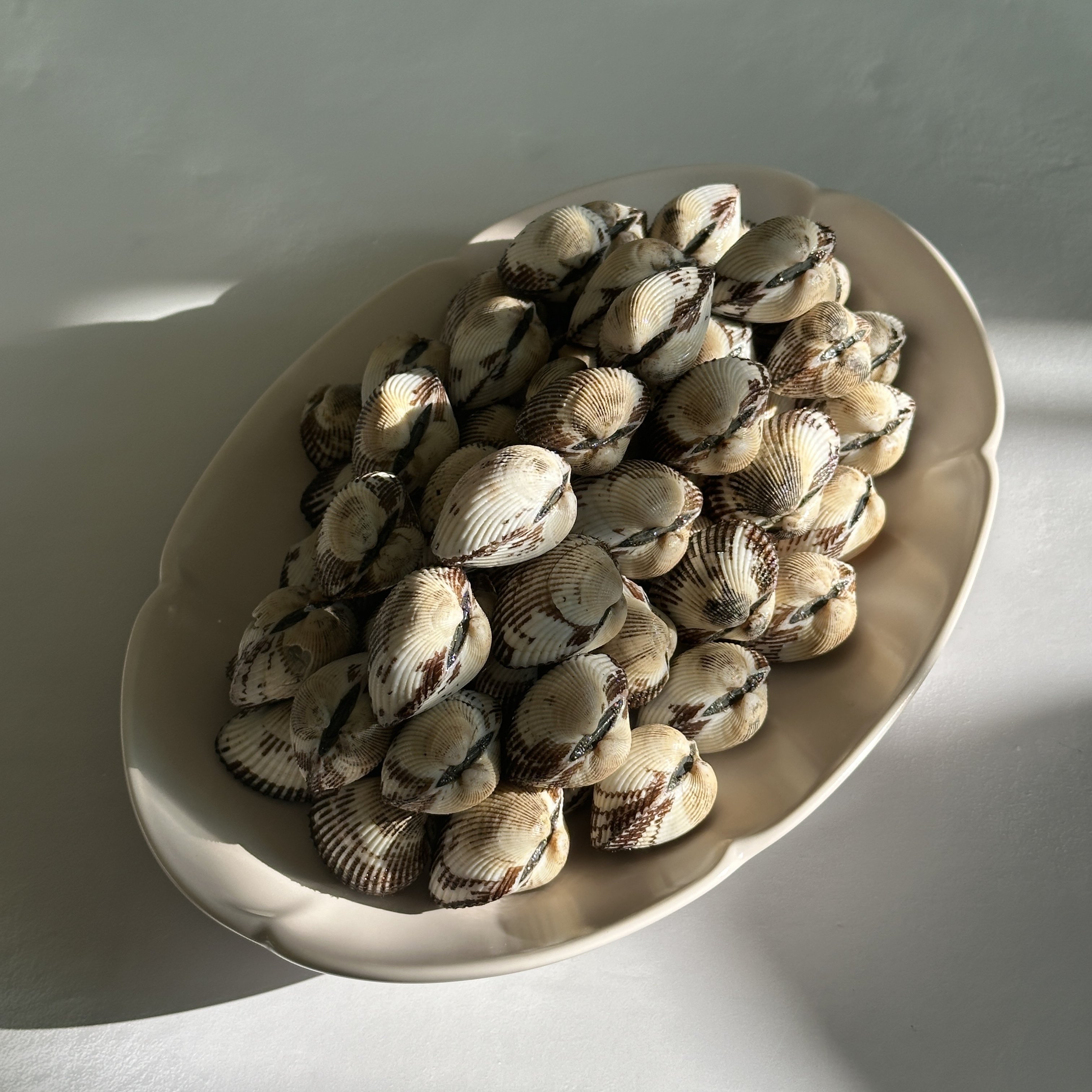 업소용 식당용 대용량 벌교 새꼬막 10kg 내일도착 : 반도 수산