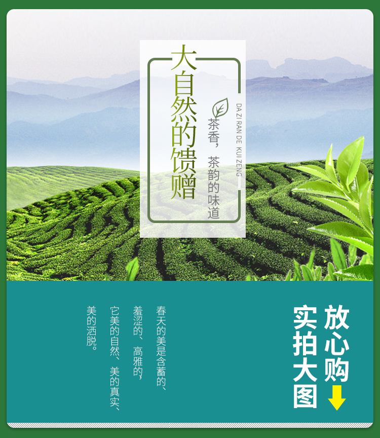 [1-82] 우화차 황주 남경녹차 우전 산차 대용량 125g x 2 by 고순청산차창 : 운남상회 티다차이
