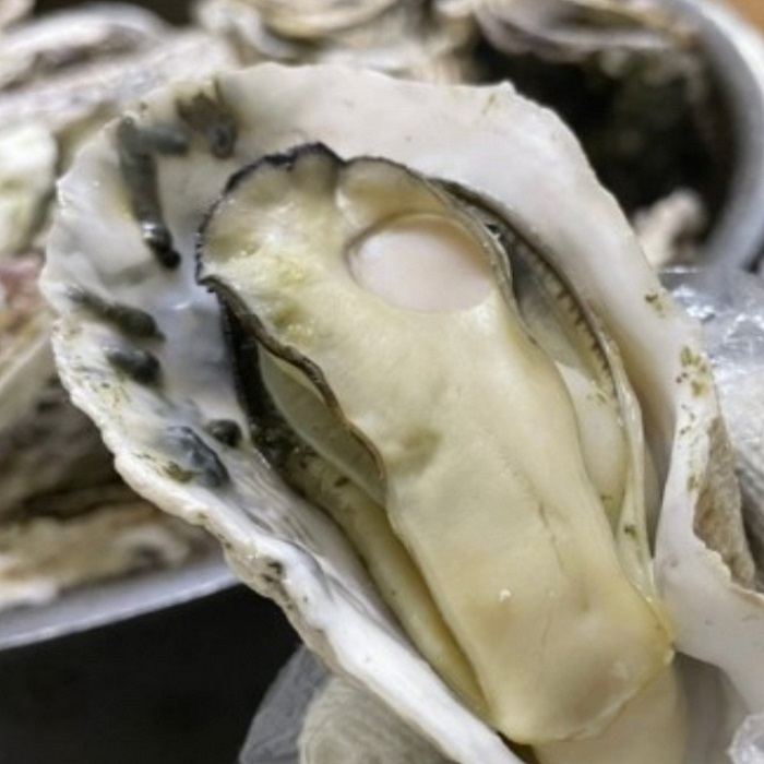 통영 고급 입망석화굴5kg 깔끔세척 하프셀굴20미 횟감 찜구이 : 주주푸드마켓