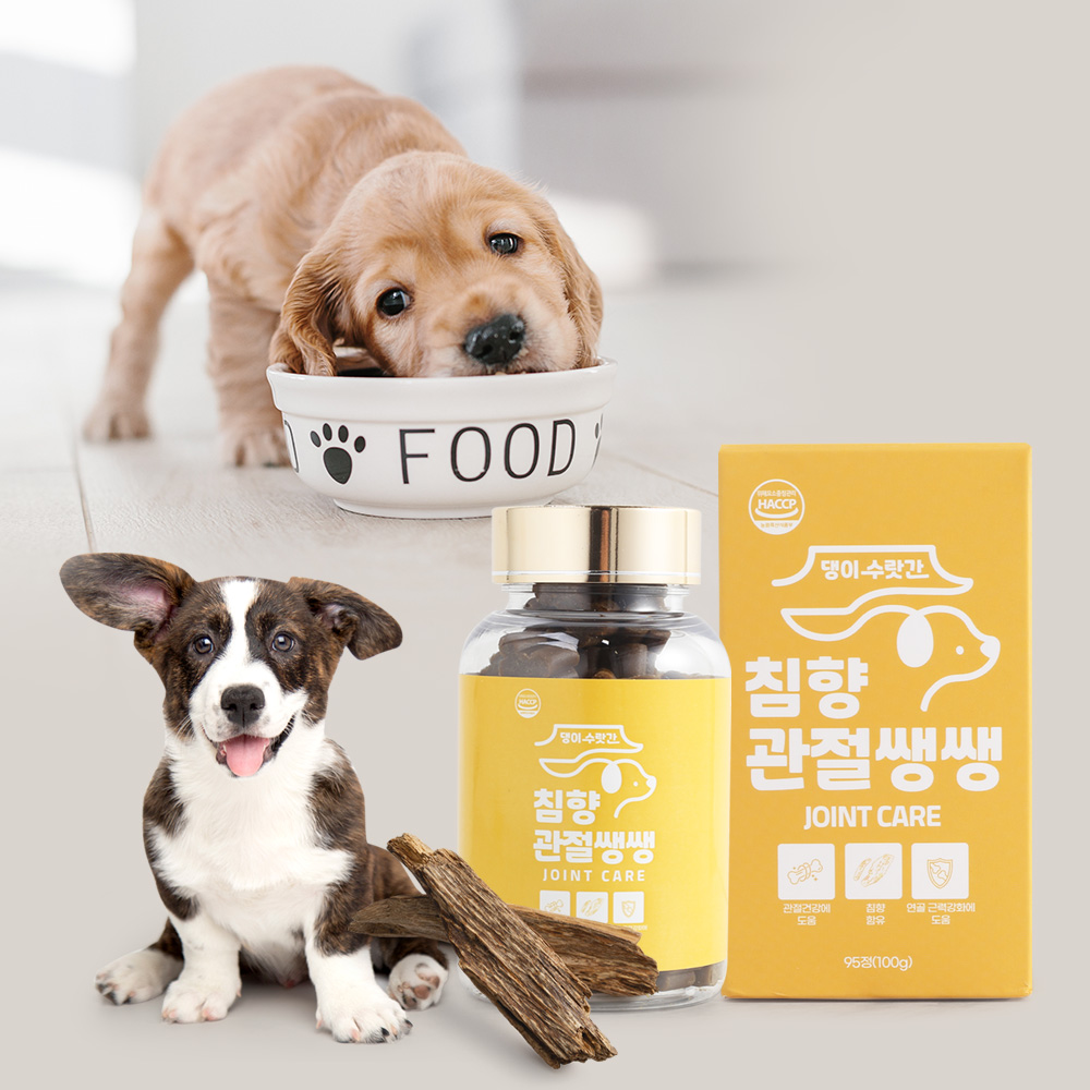 강아지 관절영양제 슬개골탈구 증상 콘드로이친 보스웰리아 댕이수랏간 침향 관절쌩쌩 100g : 댕이수랏간