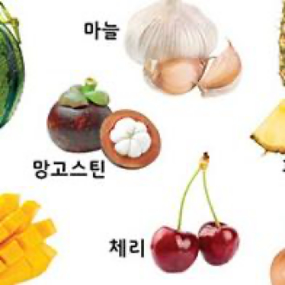 사운드벽보 양면 벽보 - 룰루랄라 과일 채소 엄마표 놀이 학습 : 하얀바람마켓