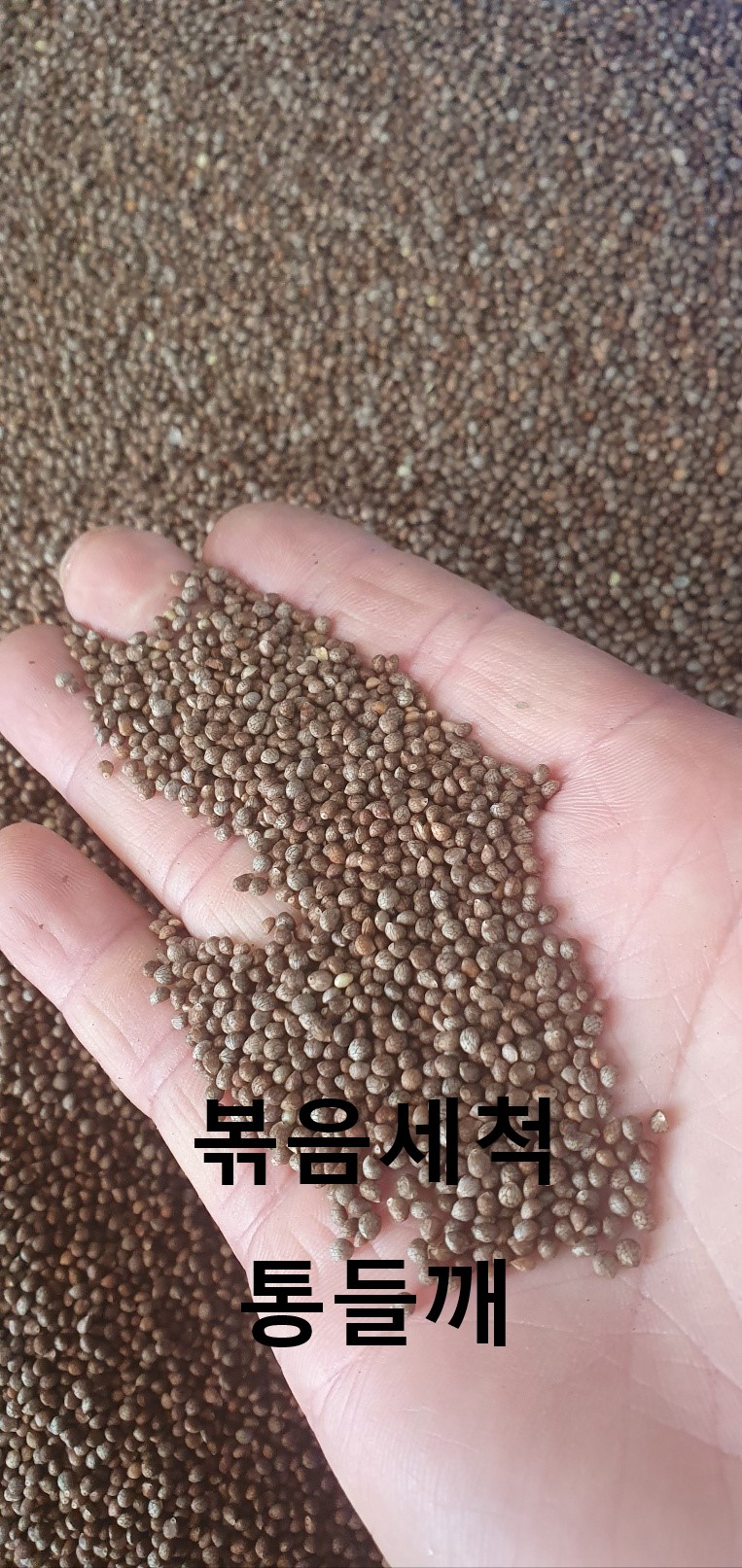 박달재 볶음세척 통들깨 : 박달재 백운방앗간