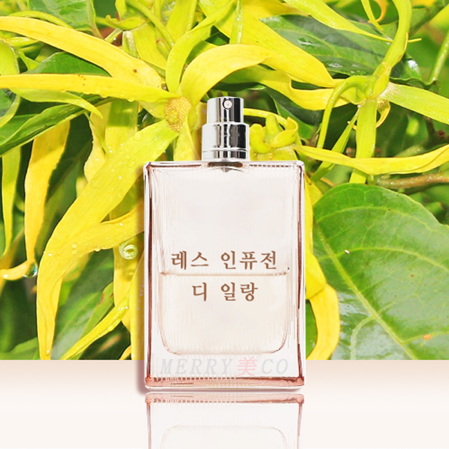 레스 인퓨전 디 일랑 향(프라 타입) 프래그런스오일 FO 10ml : 메리미코