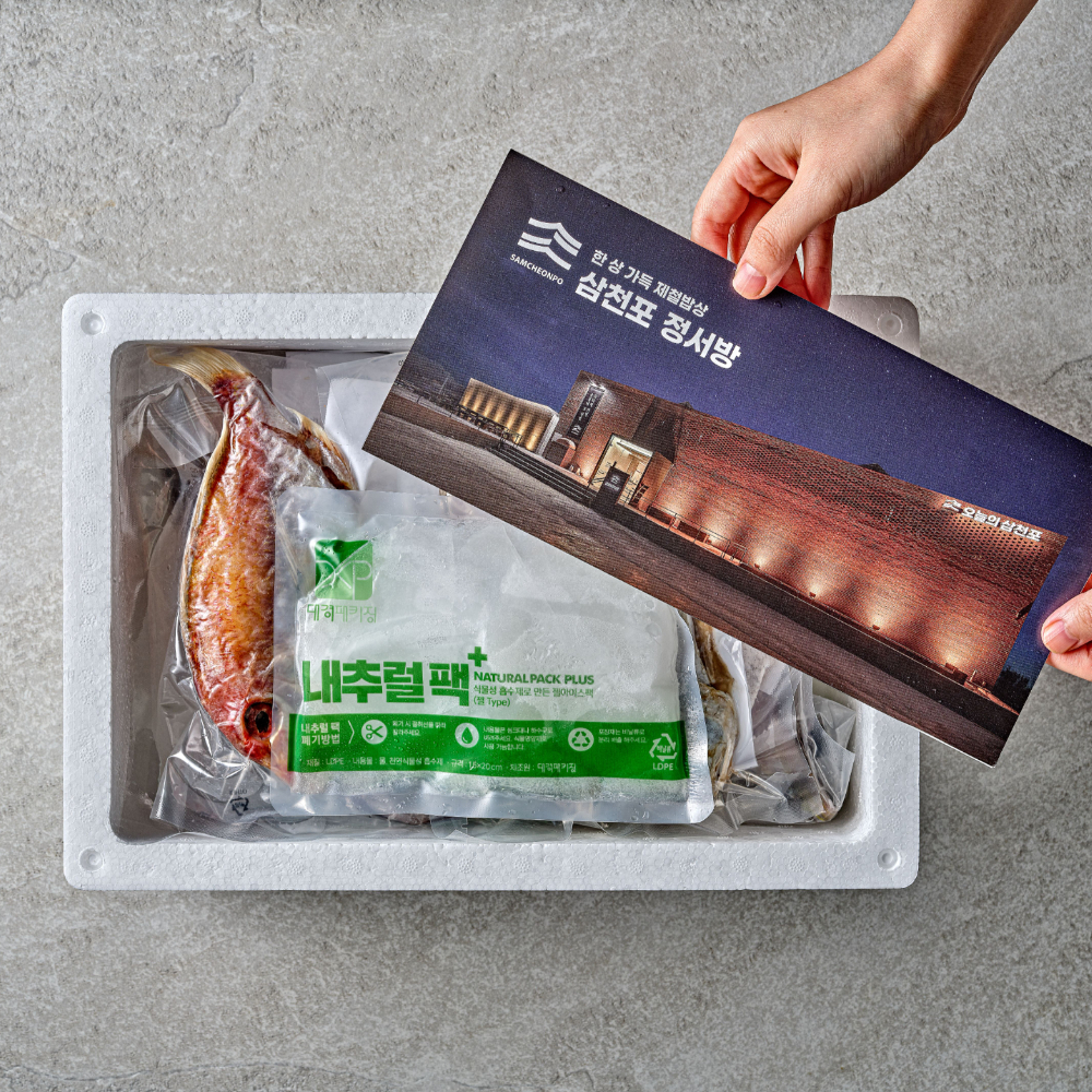 삼천포맛집정서방무염고등어 5팩 1팩당 1미 420g 노르웨이 밥반찬 생선구이 냉동생선 : 오늘의삼천포