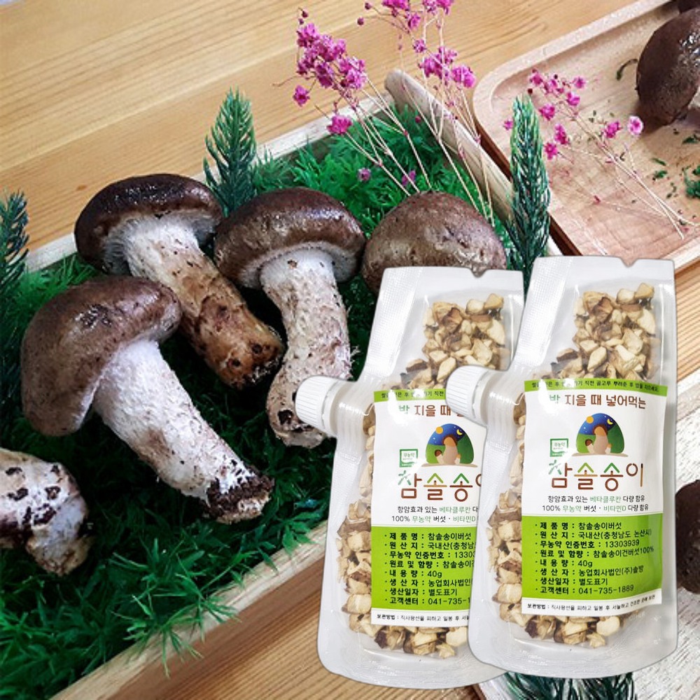 참솔 건송이 버섯 말린 송이버섯 40g 국내산 무농약 : 야시체리