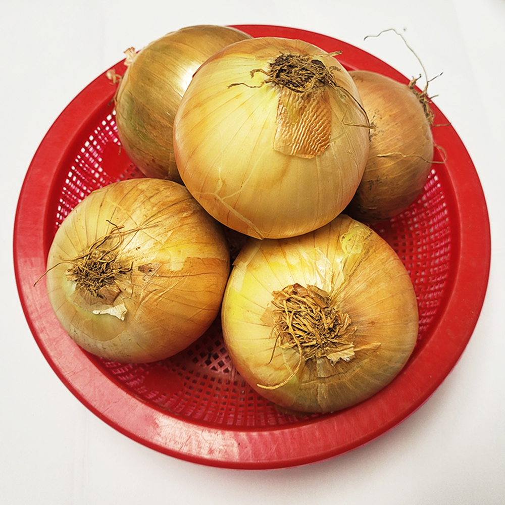 [미추홀구 배달] 싱싱한 양파 1kg [석바위 새마을청과] : 동네시장 장보기