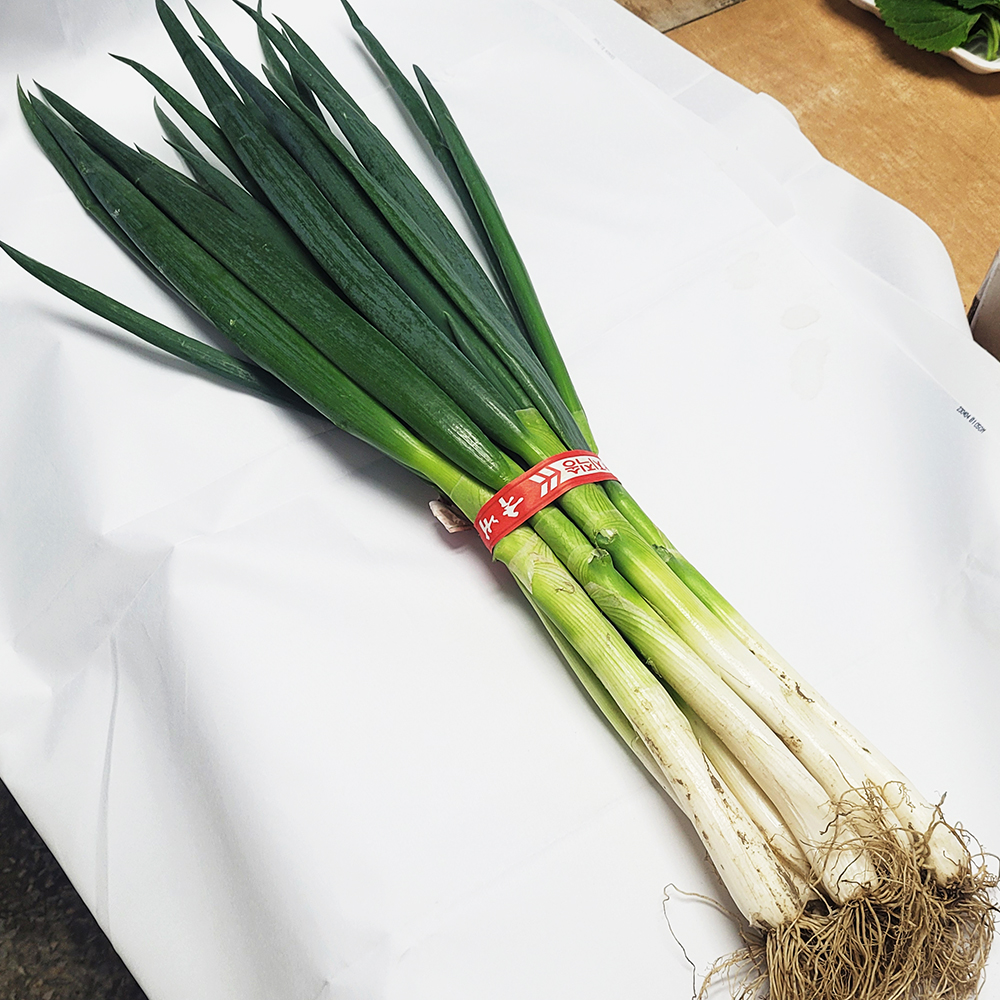 [미추홀구 배달] 대파 1단 [석바위 새마을청과] : 동네시장 장보기