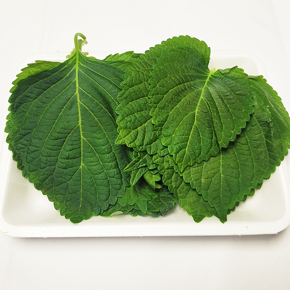 [미추홀구 배달] 깻잎 1봉 [석바위 새마을청과] : 동네시장 장보기