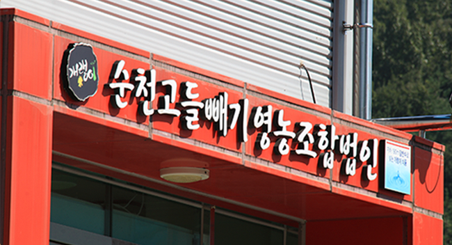 순천 [개랭이 영농조합] 고들빼기피클 : 아임파머 농협회사