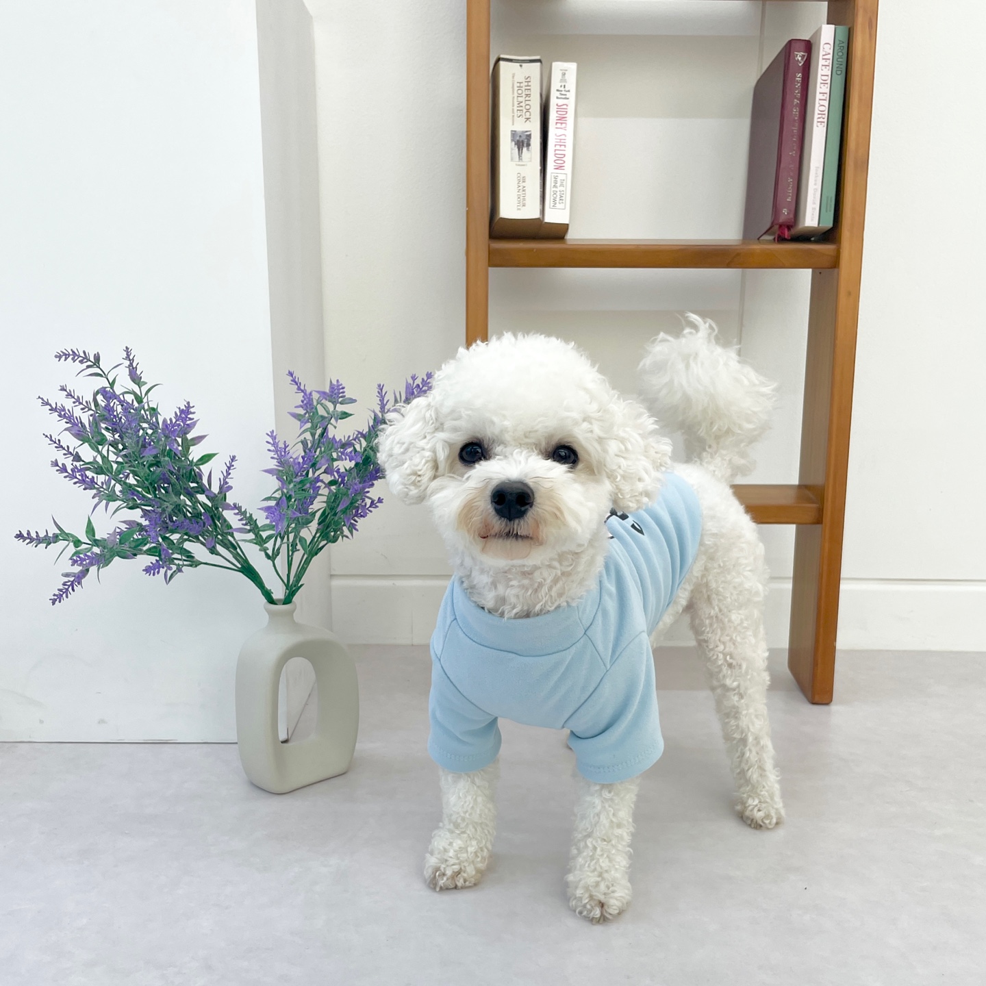 [자체제작] 하이몽 쿠키베어 티셔츠 강아지 실내복 S - 2XL : 하이몽 HIMONG