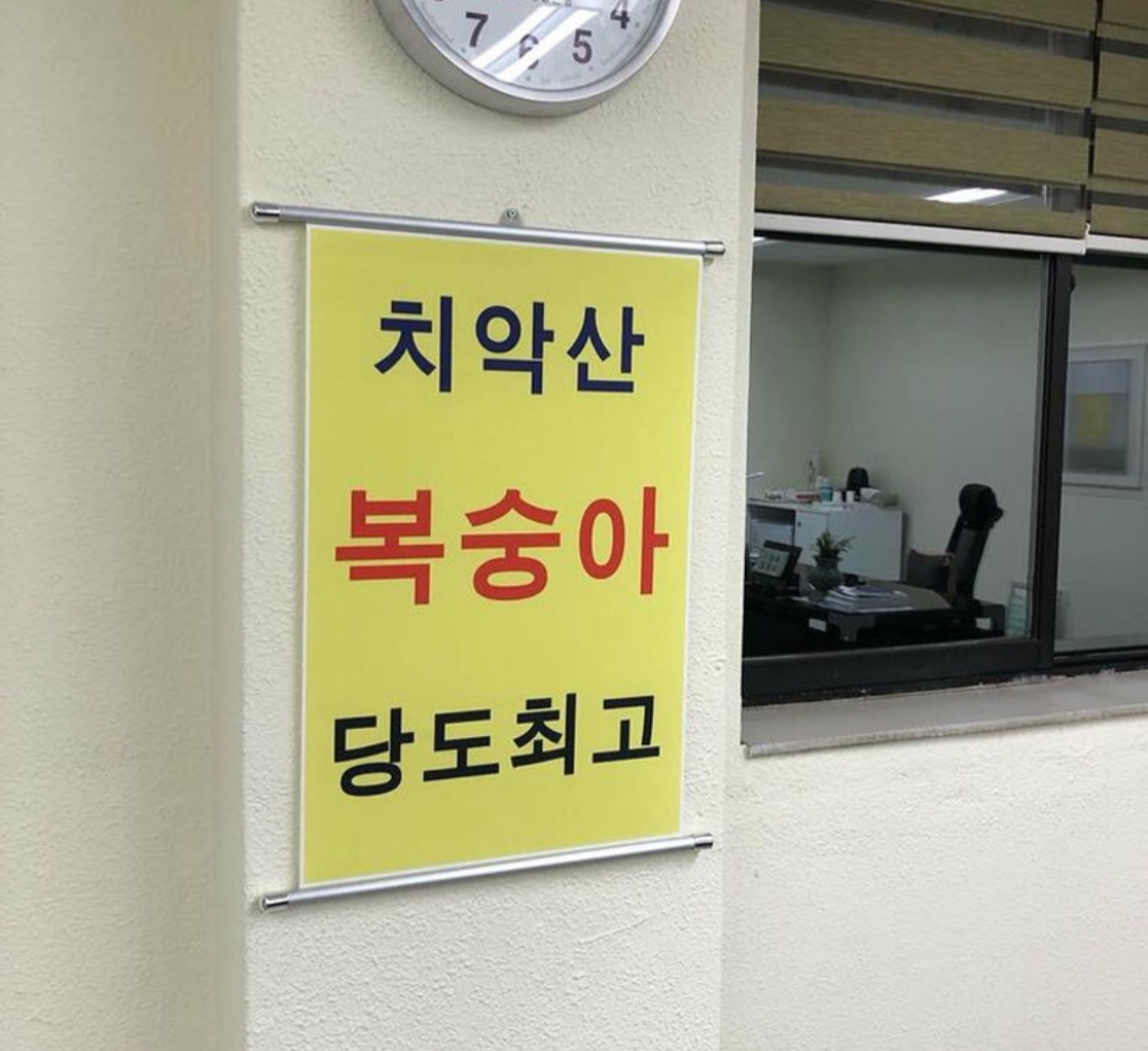 치악산 복숭아 당도최고 족자봉 : 펀브로