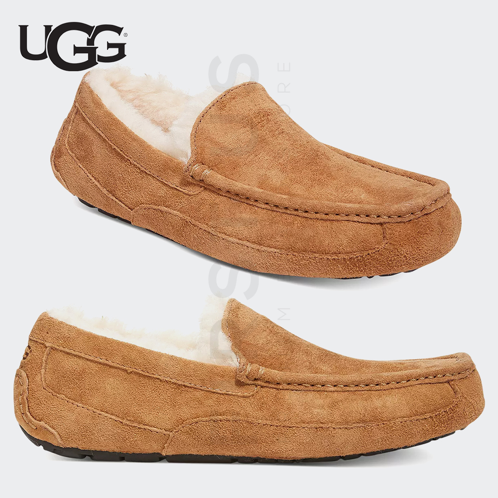 어그 미국UGG 모카신 남성 Ascot 털신 방한화 체스트넛 : 퍼스트어스