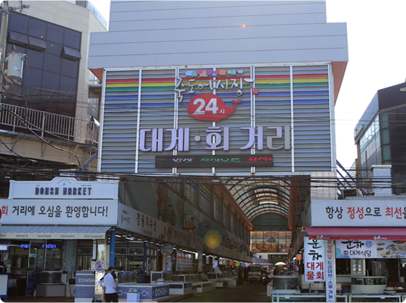 경주 포항 1박2일 버스여행 : 돌고래여행사-돌핀스토어