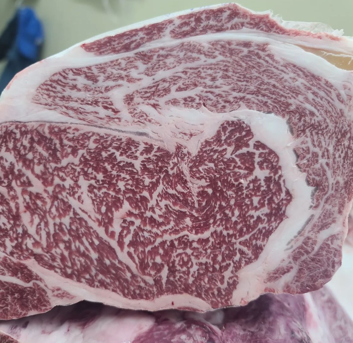 투뿔한우 숙성 등심 채끝 오마카세 꽃등심 갈비살 마장동도매 마블링 좋은 한우 무무미트 : 대한민국한우 무무미트