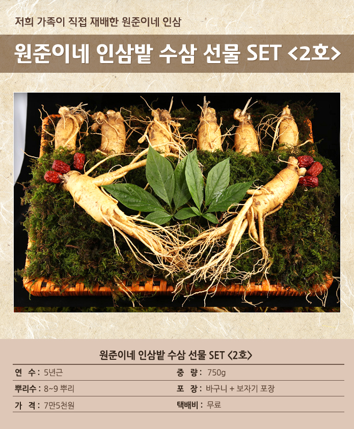 원준이네 인삼밭 수삼 선물 SET [2호] : 원준이네인삼밭
