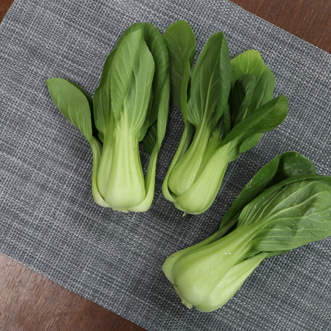 국내산 청경채 2kg 4kg 마라탕 샤브샤브 용 청경채 1kg : 농산물마루