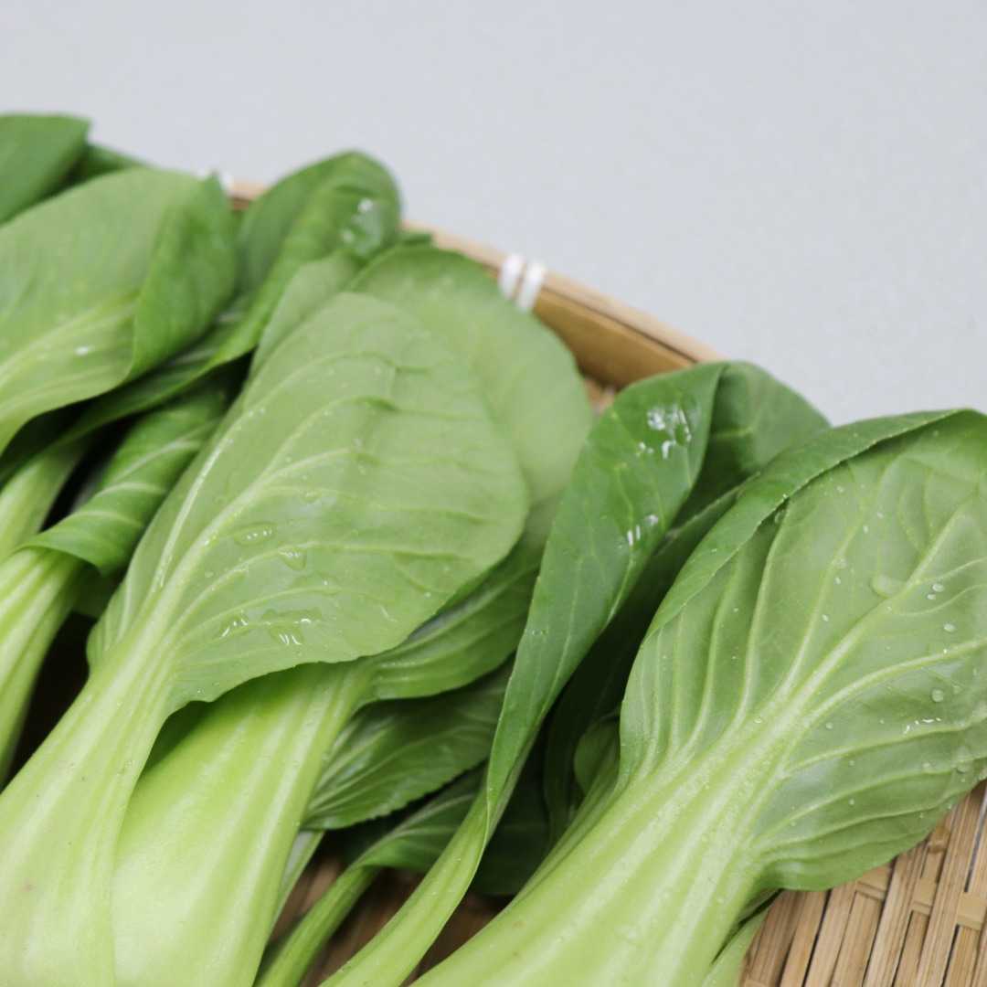 국내산 청경채 2kg 4kg 마라탕 샤브샤브 용 청경채 1kg : 농산물마루