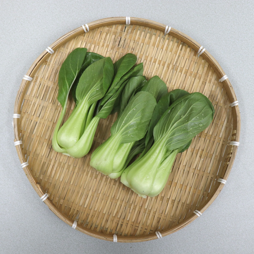 국내산 청경채 2kg 4kg 마라탕 샤브샤브 용 청경채 1kg : 농산물마루