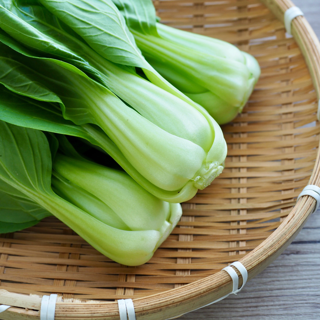 국내산 청경채 2kg 4kg 마라탕 샤브샤브 용 청경채 1kg : 농산물마루
