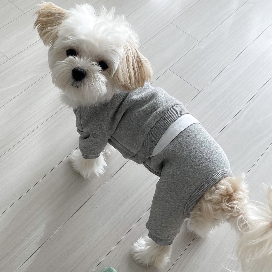 강아지 옷 원마일 기모 올인원 S-2XL : 아뭉아뭉