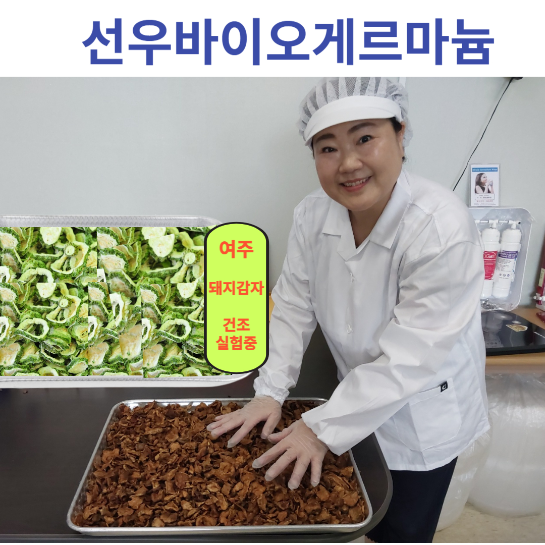 여주환.1개월분-스틱(게르마늄 국우(돼지감자)여주환) : 선우게르마늄