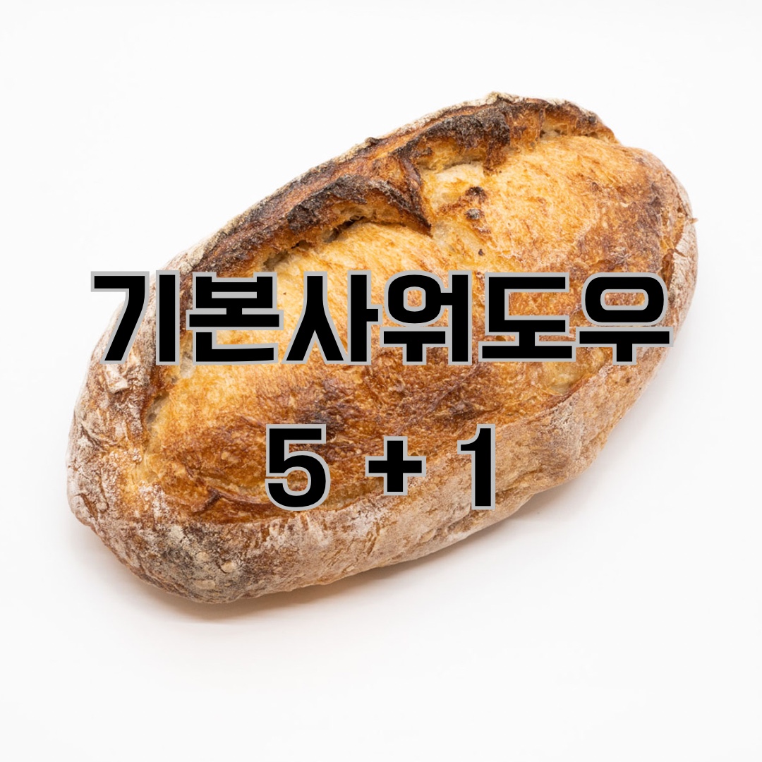 [시간을담다베이커리] 기본사워도우 르방만으로 발효한 천연발효빵 5개 셋트(5개를 구매하면1개더 드립니다) : 시간을담다베이커리