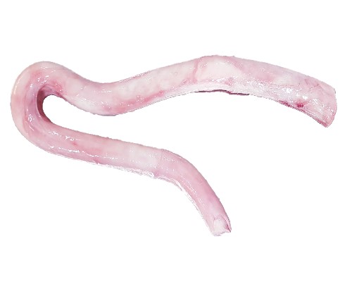 소우신 1kg 한우소우신 불리스틱재료 : 생푸드