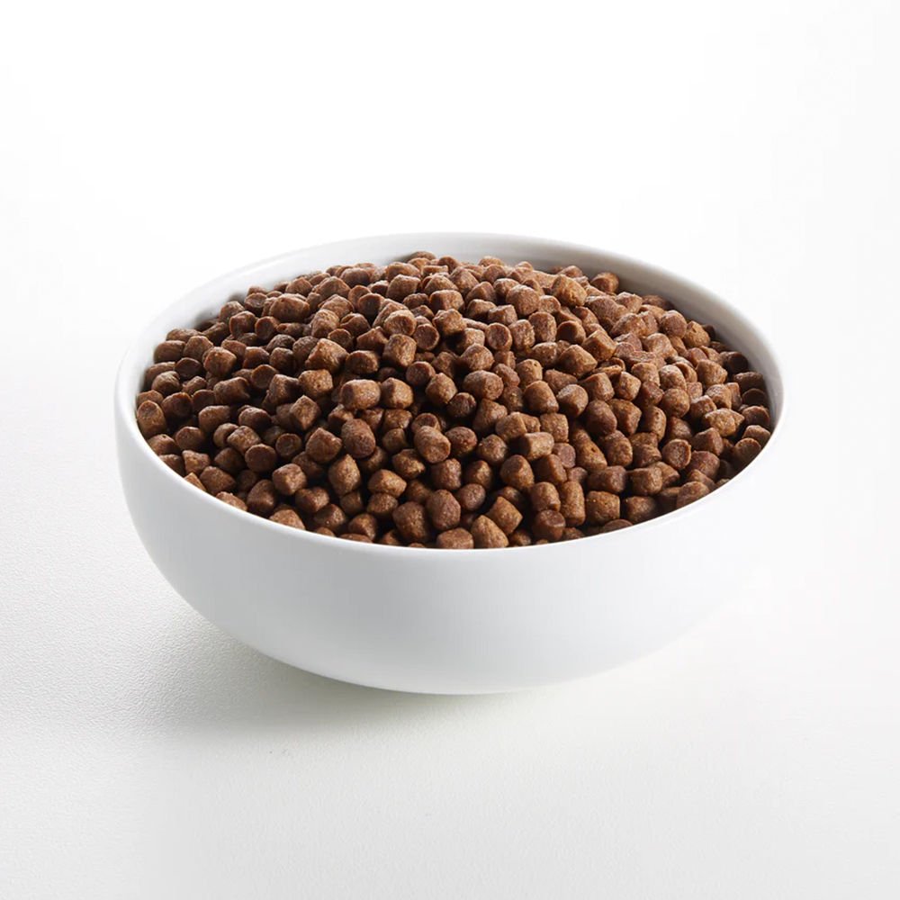 쿠쿳 캣 그레인프리 키튼 고양이사료 치킨 칠면조 5kg : 전국구고양이