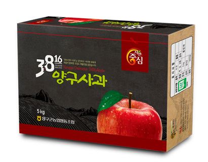 24년 햇사과 대한민국 대표과일 선발대회 수상 양구사과 정품 부사 5kg, 10kg : 펀치볼 조은농장