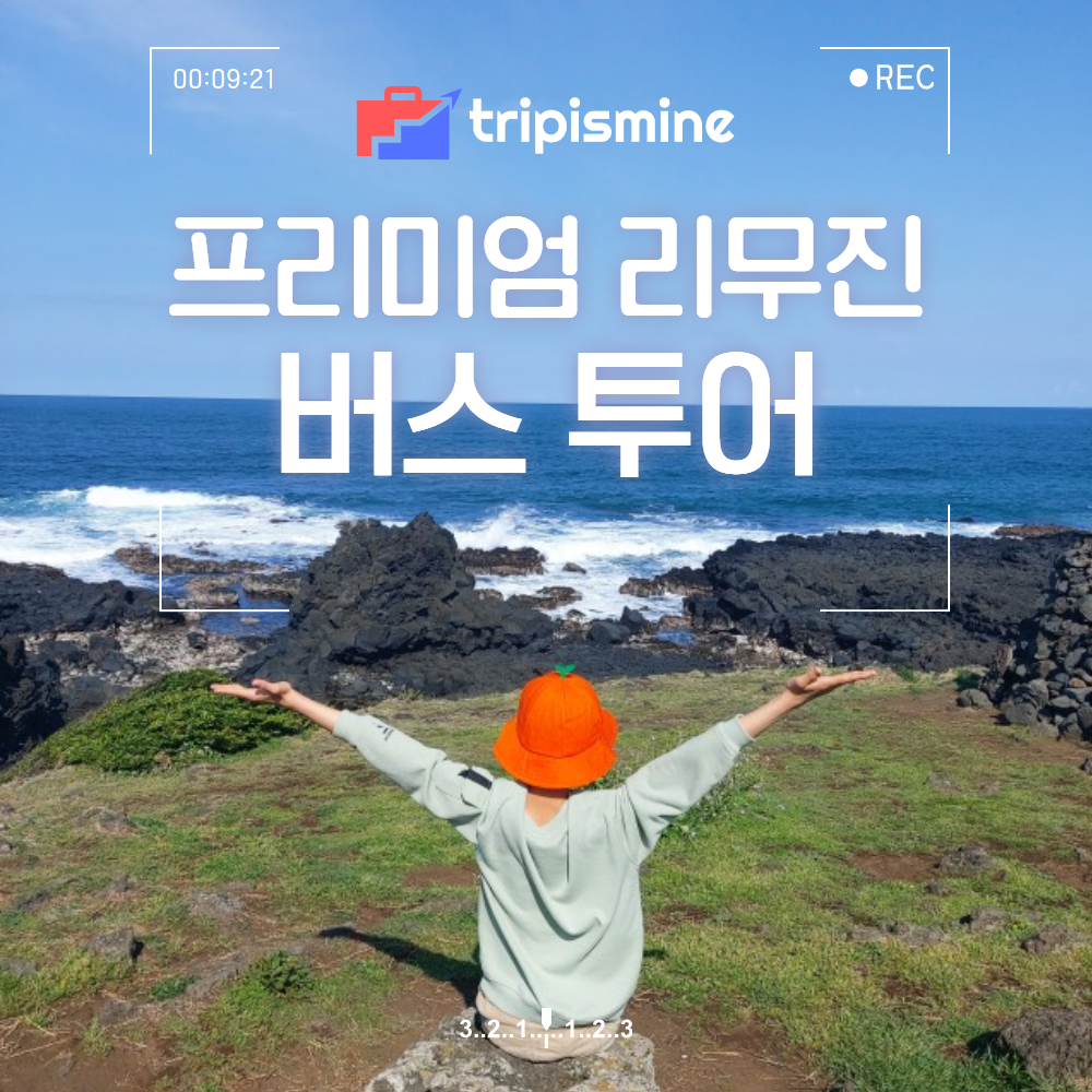 제주도버스투어 일일투어 뚜벅이 혼자당일여행 원데이 택시투어 우도 관광 : 트립이즈마인
