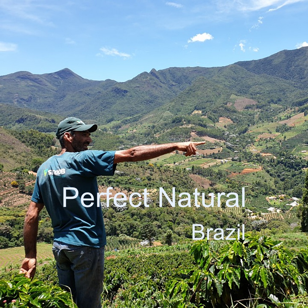 [커피생두] 브라질 퍼펙트 내추럴 1kg/ Brazil 스페셜티 커피 생두 : 위트러스트커피