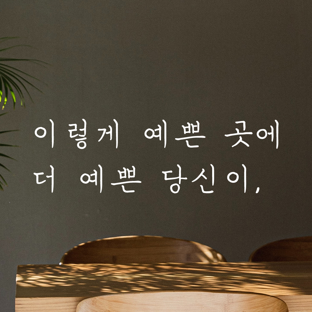 손글씨 레터링 스티커 이렇게 예쁜 곳에 더 예쁜 당신이 LH-047S검정 : 어썸투데이