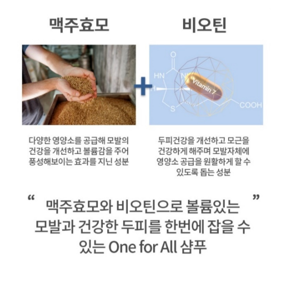 바이오틴 샴푸 비오틴 출산 탈모 방지 완화 예방 맥주효모 탈모샴푸 저자극 기능성 : 벨라진샵