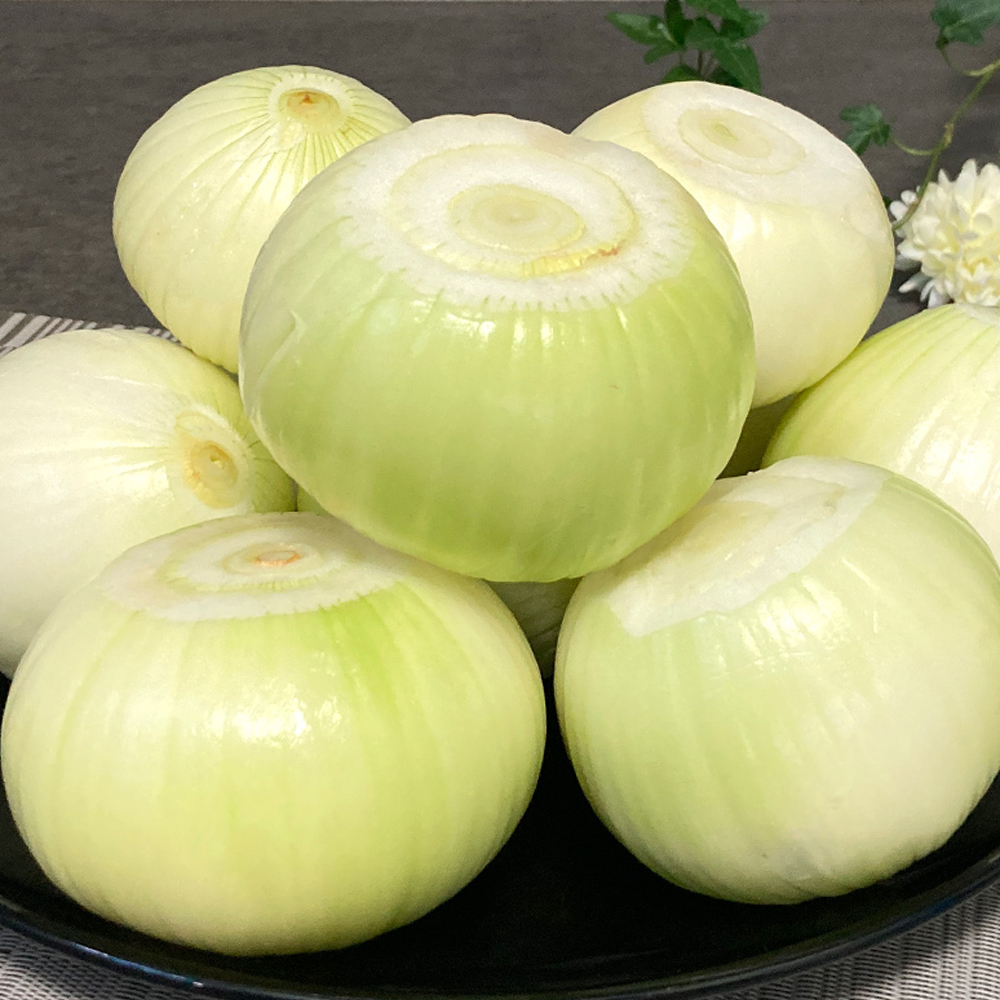 쿡네이처 국내산 급식용 업소용 대용량 깐양파 10kg 15kg 20kg : 쿡네이처