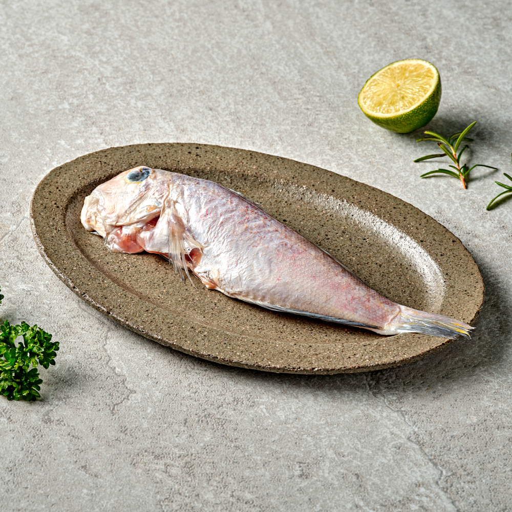 삼천포맛집정서방 반건조 홍옥돔 5팩 1팩당 1미 210g 밥반찬 생선구이 냉동생선 : 오늘의삼천포