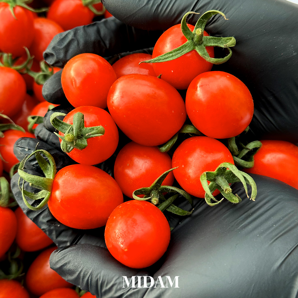 아삭아삭 특등급 방울토마토 1kg 2kg : 미담상회