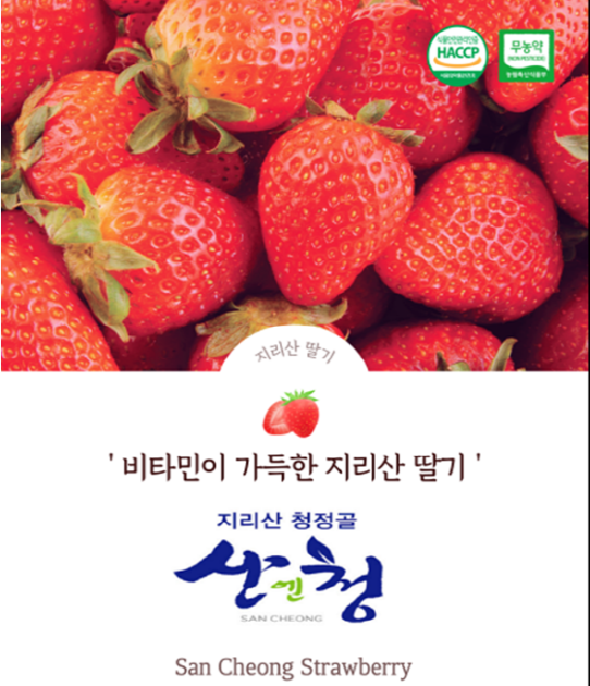 [당일수확배송] 지리산 청정골 생 설향딸기 500g / 1kg / 2kg : 온더하기