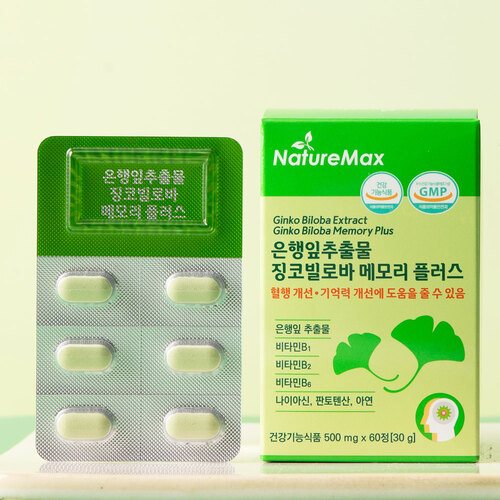 프리미엄 징코 메모리 플러스 약2개월 기억력 혈액순환 혈행 개선 도움 은행잎추출물 영양제 : 오픽마켓
