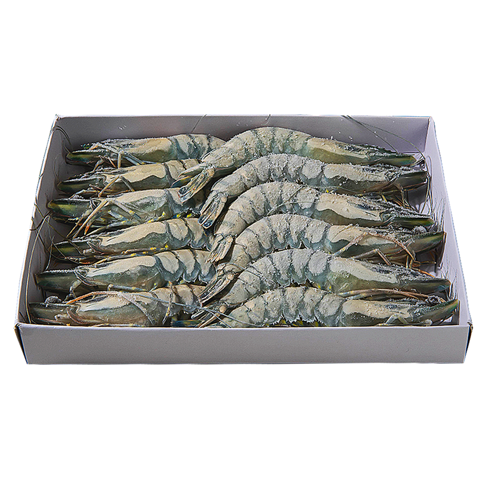 블랙타이거새우 12미 500g 어흥새우 얼룩 BT 냉동새우 캠핑용 왕새우 PC방 BLACK TIGER : 행운유통몰