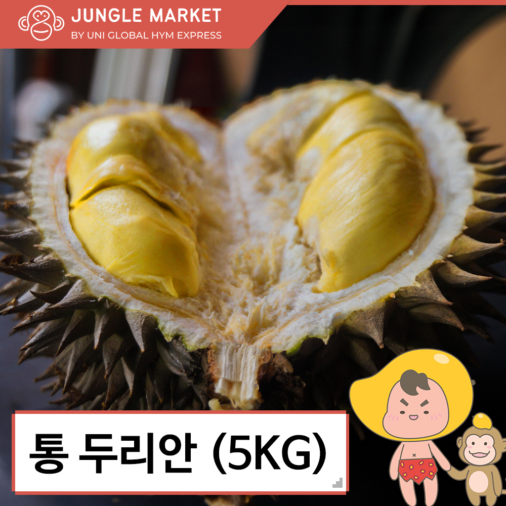 최상급 필리핀 통 두리안 5KG : 정글상회