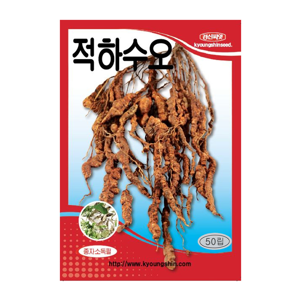 하수오씨앗 적하수오 50립 한약재 약용식물 : GT라인