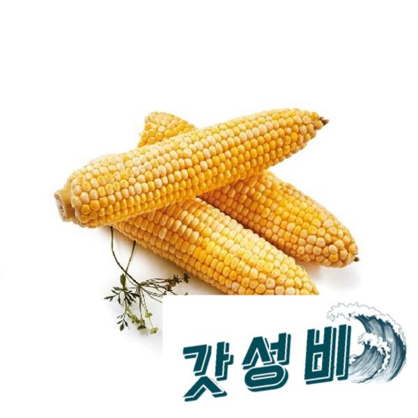 (팔)팜 냉동(생) 초당옥수수 5팩(10개입)/17~20cm(특) - : 중구소리
