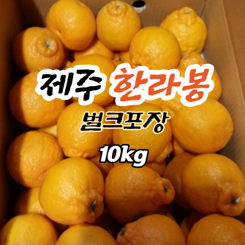제주한라봉 10kg 벌크 석이네감귤농장 : 석이네감귤농장