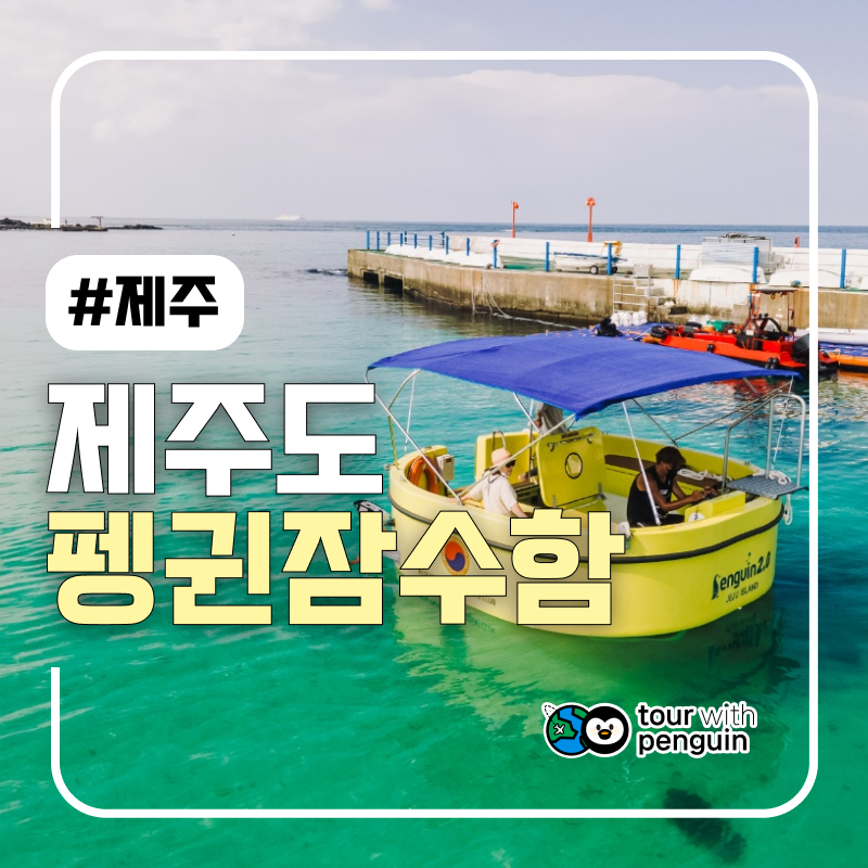 [제주 함덕] 펭귄 반잠수함 함덕에서 타봤니 아이랑 커플이랑 완전 강추 바다 속 구경 : 투어위드펭귄