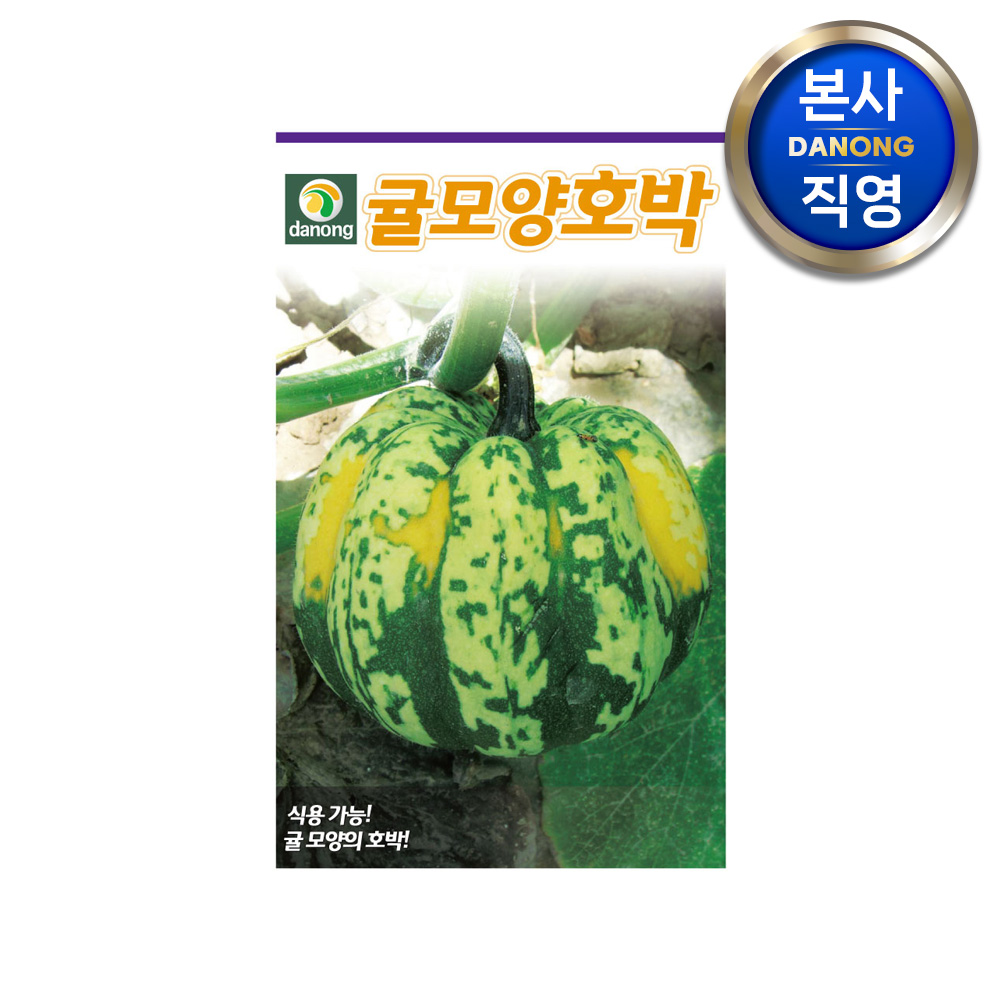 귤모양 호박 씨앗 100립 야채 채소 텃밭 파종 재배 주말 농장 씨 종자 : 다농원예가든