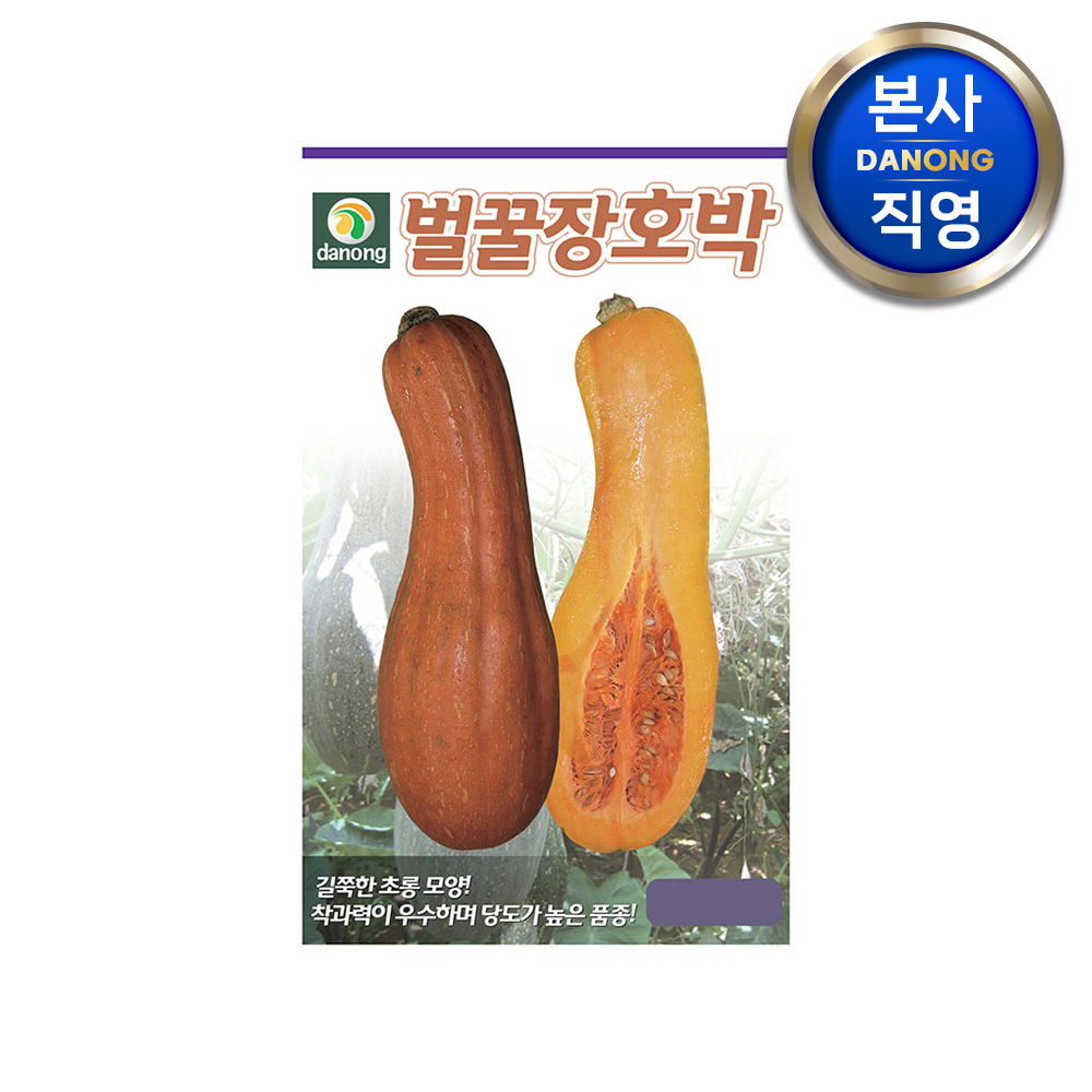 벌꿀장 호박 씨앗 30립 야채 채소 텃밭 파종 재배 주말 농장 씨 종자 : 다농원예가든