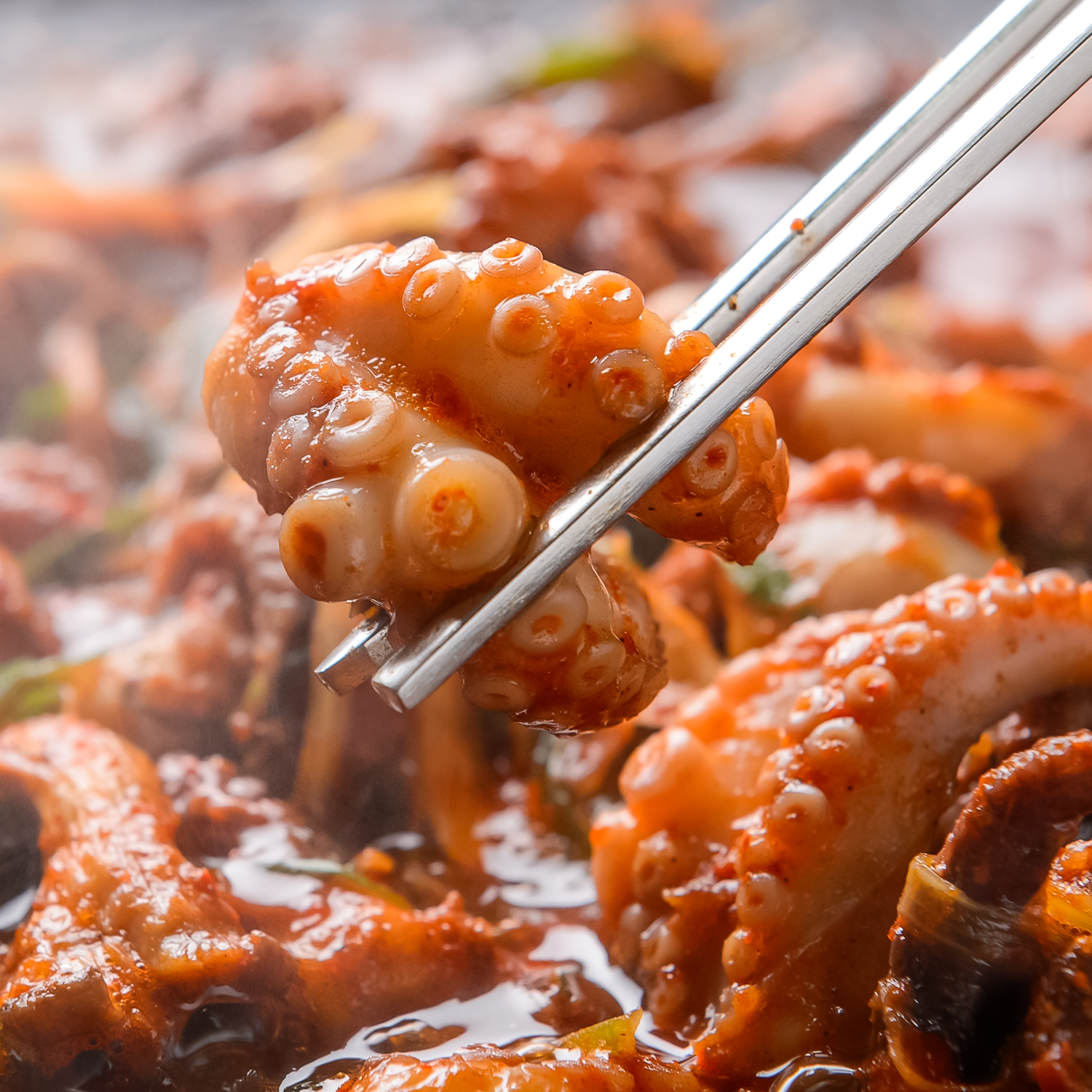 통영돌문어 국내산 돌문어 1kg 통영문어 : 농부의발자국